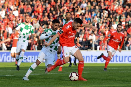 Benfica vs Moreirense – Soi kèo nhà cái bóng đá 02h30 ngày 15/04/2024 – VĐQG Bồ Đào Nha