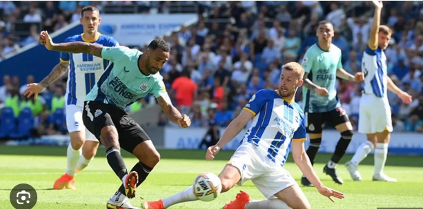 Brighton vs Newcastle – Soi kèo nhà cái bóng đá 20h00 ngày 04/05/2025 – Ngoại Hạng Anh