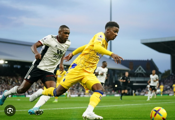 Fulham vs Everton– Soi kèo nhà cái bóng đá 21h00 ngày 10/05/2025 – Ngoại Hạng Anh